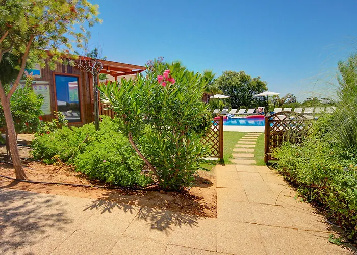 Pinheiros Da Balaia Albufeira